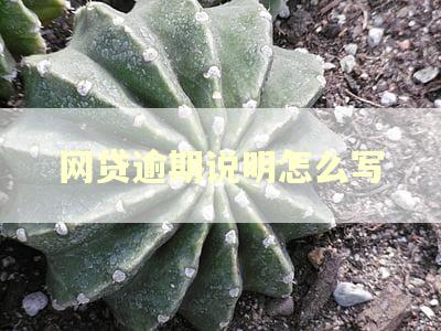 网贷逾期说明怎么写 网贷逾期说明怎么写