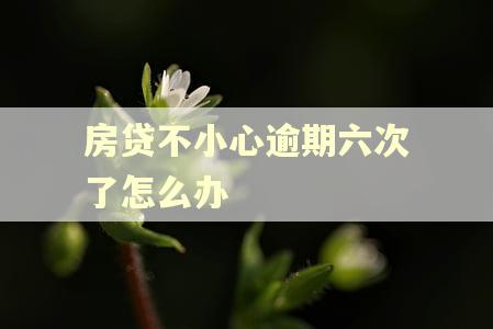 房贷不小心逾期六次了怎么办