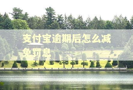 支付宝逾期后怎么减免罚息