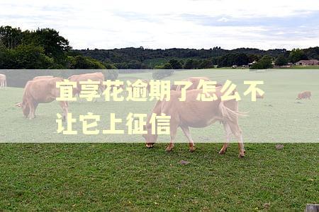 宜享花逾期了怎么不让它上征信