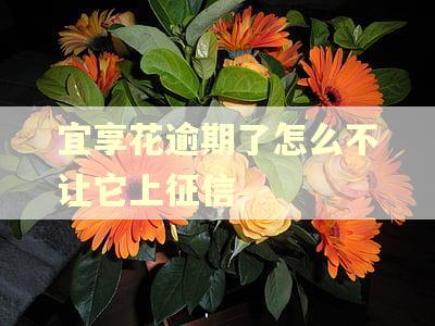 宜享花逾期了怎么不让它上征信