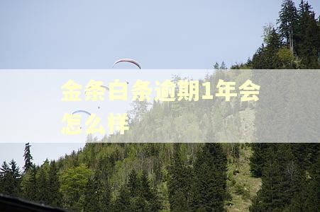 金条白条逾期1年会怎么样