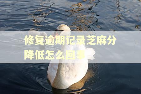 修复逾期记录芝麻分降低怎么回事