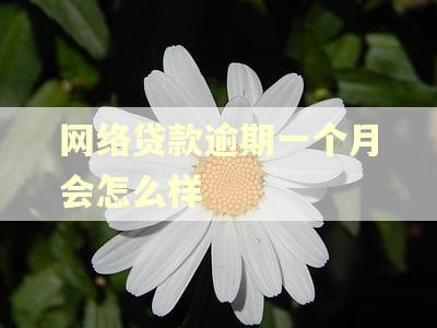 网络贷款逾期一个月会怎么样