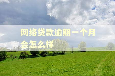 网络贷款逾期一个月会怎么样