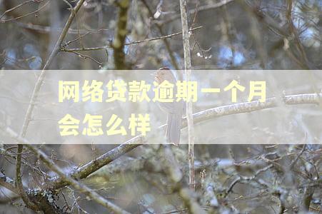 网络贷款逾期一个月会怎么样 网络贷款逾期一个月会怎么样