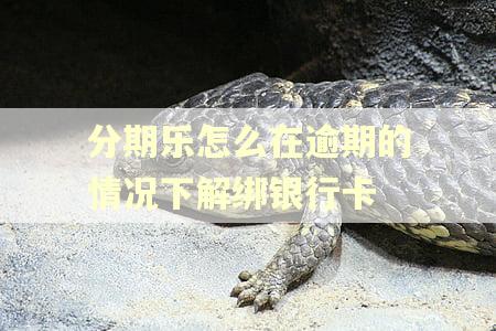 分期乐怎么在逾期的情况下解绑银行卡
