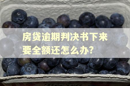 房贷逾期判决书下来要全额还怎么办?