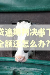房贷逾期判决书下来要全额还怎么办? 房贷逾期判决书下来要全额还怎么办?