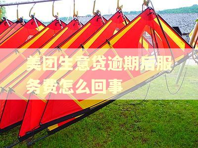 美团生意贷逾期后服务费怎么回事