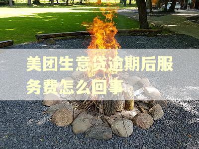 美团生意贷逾期后服务费怎么回事