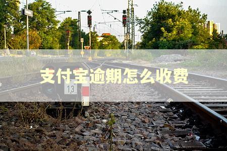 支付宝逾期怎么收费
