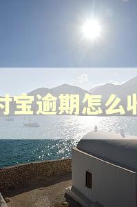 支付宝逾期怎么收费