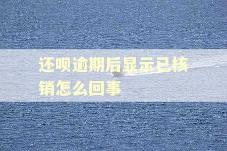 还呗逾期后显示已核销怎么回事