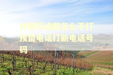 分期乐逾期怎么不打预留电话打新电话号码