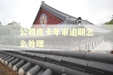 公司皮卡年审逾期怎么处理