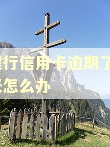 建行信用卡逾期了6天怎么办