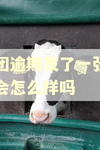 美团逾期发了一张图片会怎么样吗 美团逾期发了一张图片会怎么样吗