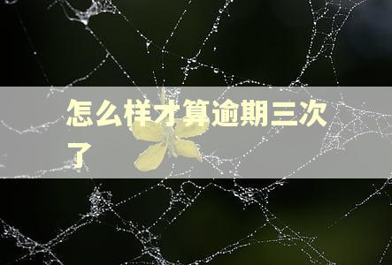 怎么样才算逾期三次了 怎么样才算逾期三次了