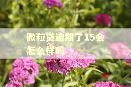 微粒贷逾期了15会怎么样吗