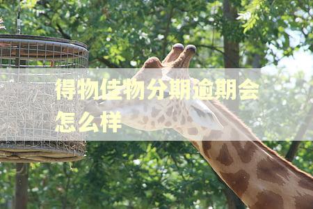 得物佳物分期逾期会怎么样