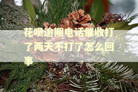 花呗逾期电话催收打了两天不打了怎么回事