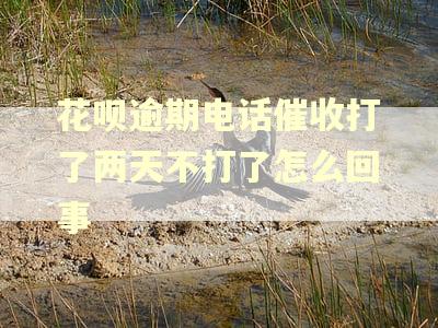 花呗逾期电话催收打了两天不打了怎么回事 花呗逾期电话催收打了两天不打了怎么回事