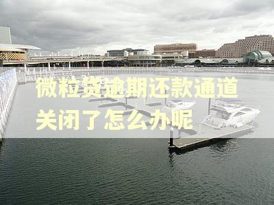 微粒贷逾期还款通道关闭了怎么办呢
