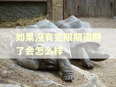 如果没有宽限期逾期了会怎么样