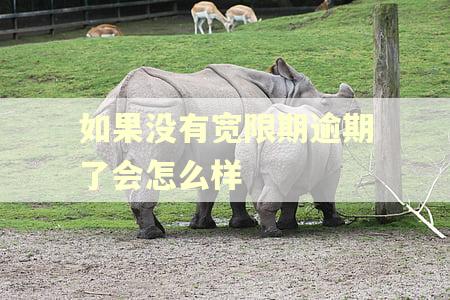 如果没有宽限期逾期了会怎么样