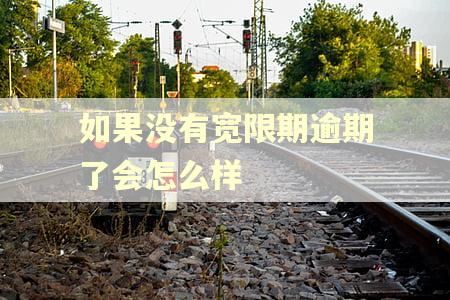 如果没有宽限期逾期了会怎么样