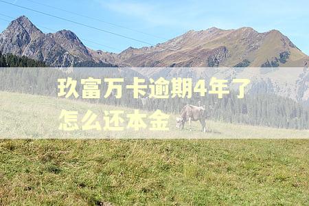玖富万卡逾期4年了怎么还本金