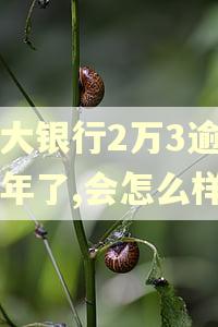 光大银行2万3逾期一年了,会怎么样