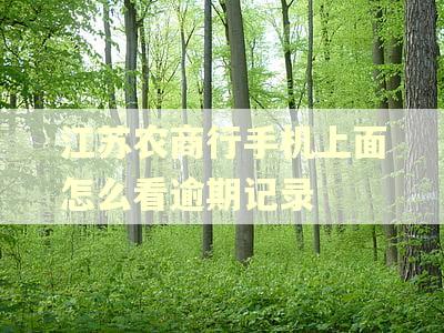 江苏农商行手机上面怎么看逾期记录 江苏农商行手机上面怎么看逾期记录