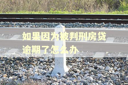 如果因为被判刑房贷逾期了怎么办