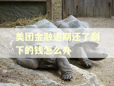 美团金融逾期还了剩下的钱怎么办