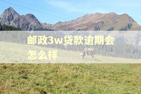 邮政3w贷款逾期会怎么样 邮政3w贷款逾期会怎么样