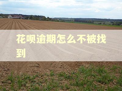 花呗逾期怎么不被找到