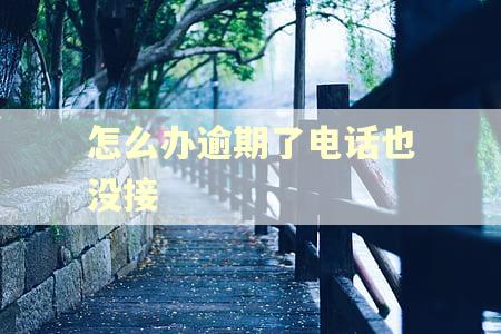 怎么办逾期了电话也没接
