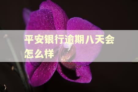 平安银行逾期八天会怎么样