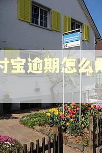 支付宝逾期怎么用淘宝 支付宝逾期怎么用淘宝