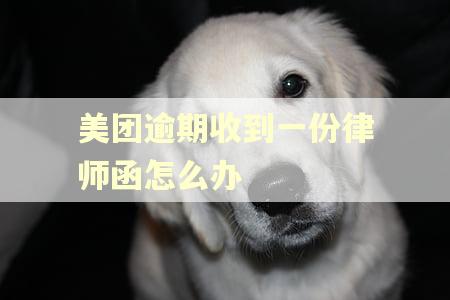 美团逾期收到一份律师函怎么办