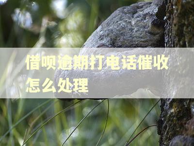 借呗逾期打电话催收怎么处理