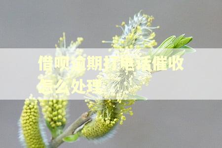 借呗逾期打电话催收怎么处理