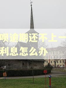 花呗逾期还不上一直加利息怎么办