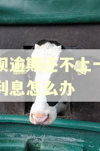 花呗逾期还不上一直加利息怎么办