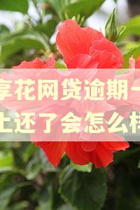 宜享花网贷逾期一天马上还了会怎么样