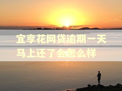 宜享花网贷逾期一天马上还了会怎么样