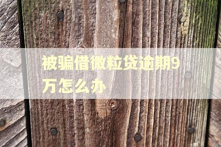 被骗借微粒贷逾期9万怎么办