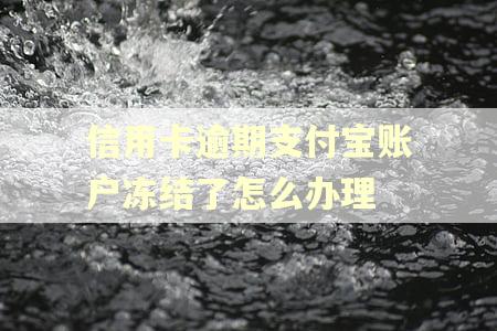 信用卡逾期支付宝账户冻结了怎么办理